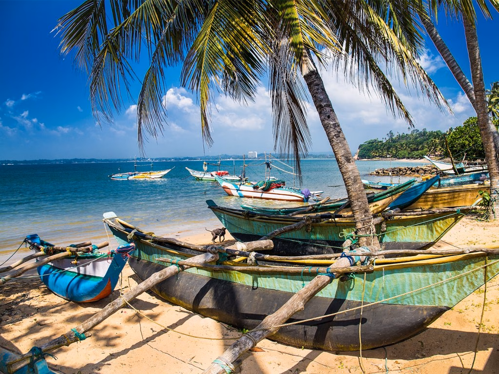Shri Lanka vacation More Turyv offer